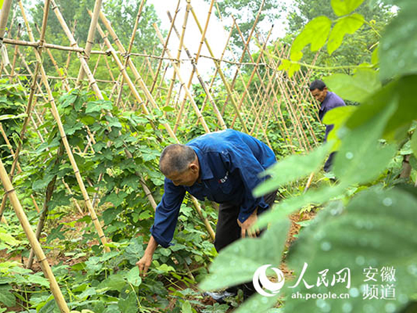 日子紅丨安徽池州：鄉(xiāng)村天地廣 加油往前闖