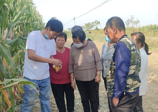 在邯鄲市邱縣梁二莊鎮(zhèn)西梁二莊村玉米田地，農(nóng)業(yè)技術(shù)員向村民們講解收割注意事項(xiàng)。孫海峰攝