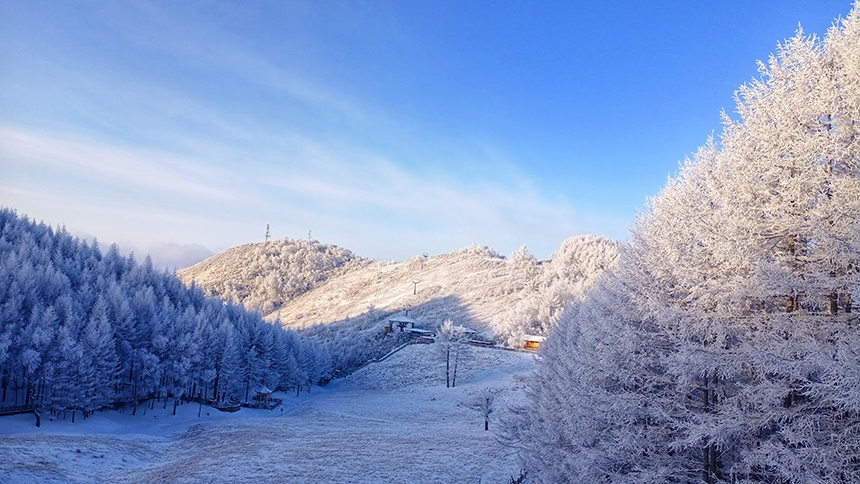 平山縣駝梁自然保護(hù)區(qū)雪后。戎喜民攝