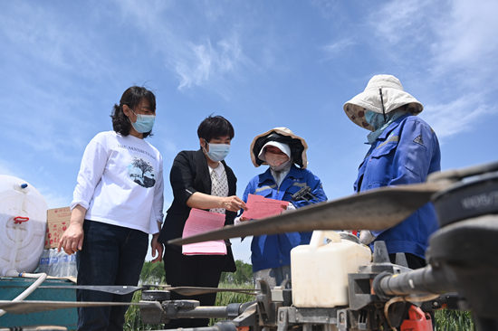 在曲周縣，農(nóng)村婦女使用無人植保機(jī)田間作業(yè)。王喜民攝