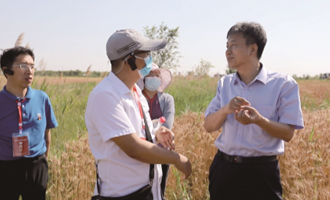 河北師范大學(xué)馬克思學(xué)院執(zhí)行院長張廣興在黃驊市仙莊片區(qū)旱堿地麥田為河北省大中小學(xué)思政課研修學(xué)員現(xiàn)場講學(xué)