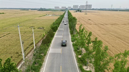 “四好農(nóng)村路”成為群眾生產(chǎn)生活主要道路。謝飛攝