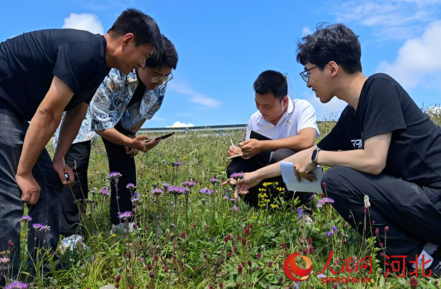 科研人員在承德平泉市遼河源省級自然保護區(qū)監(jiān)測野生植物生長情況。人民網(wǎng)記者 周博攝